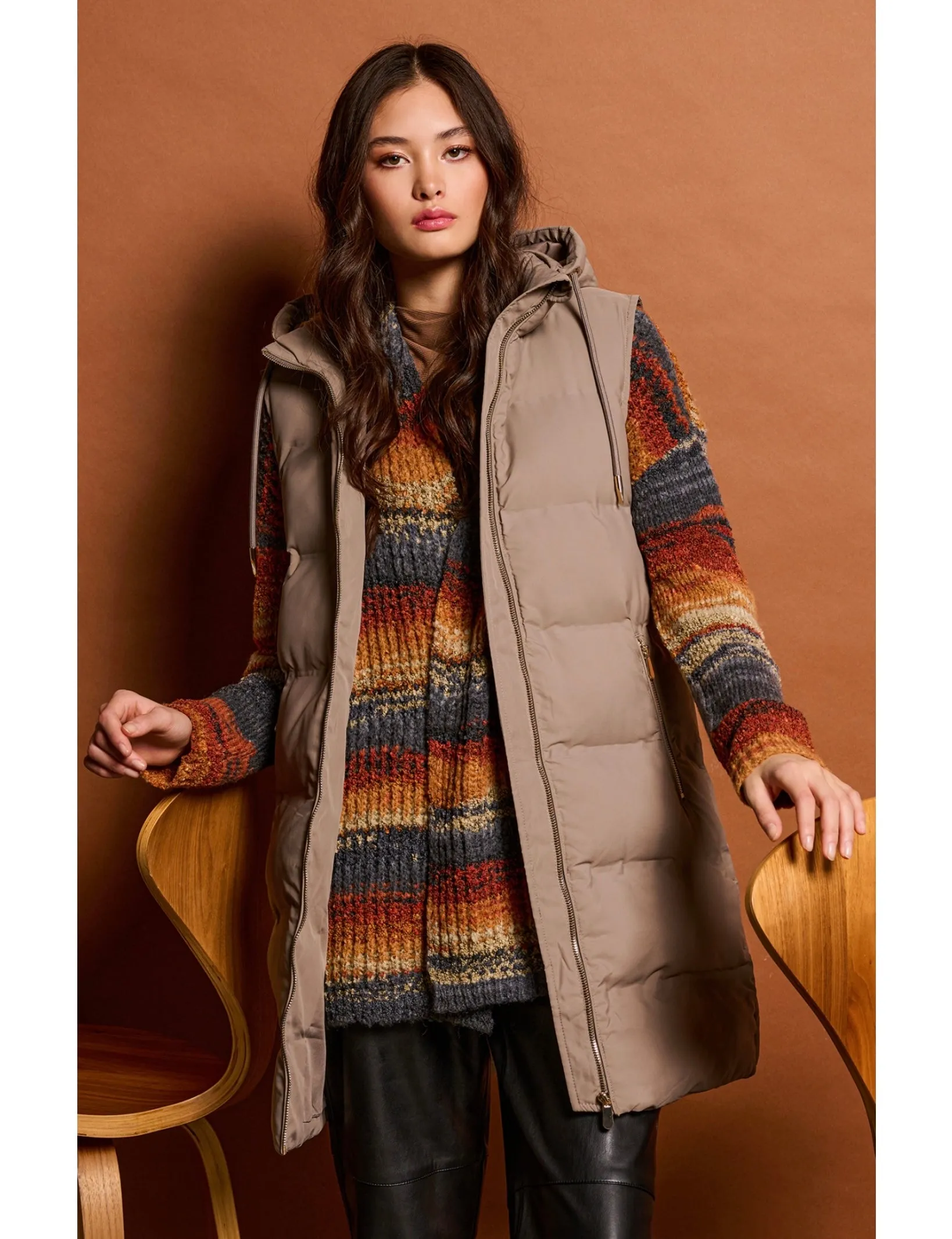 Hooded Puffer Vest